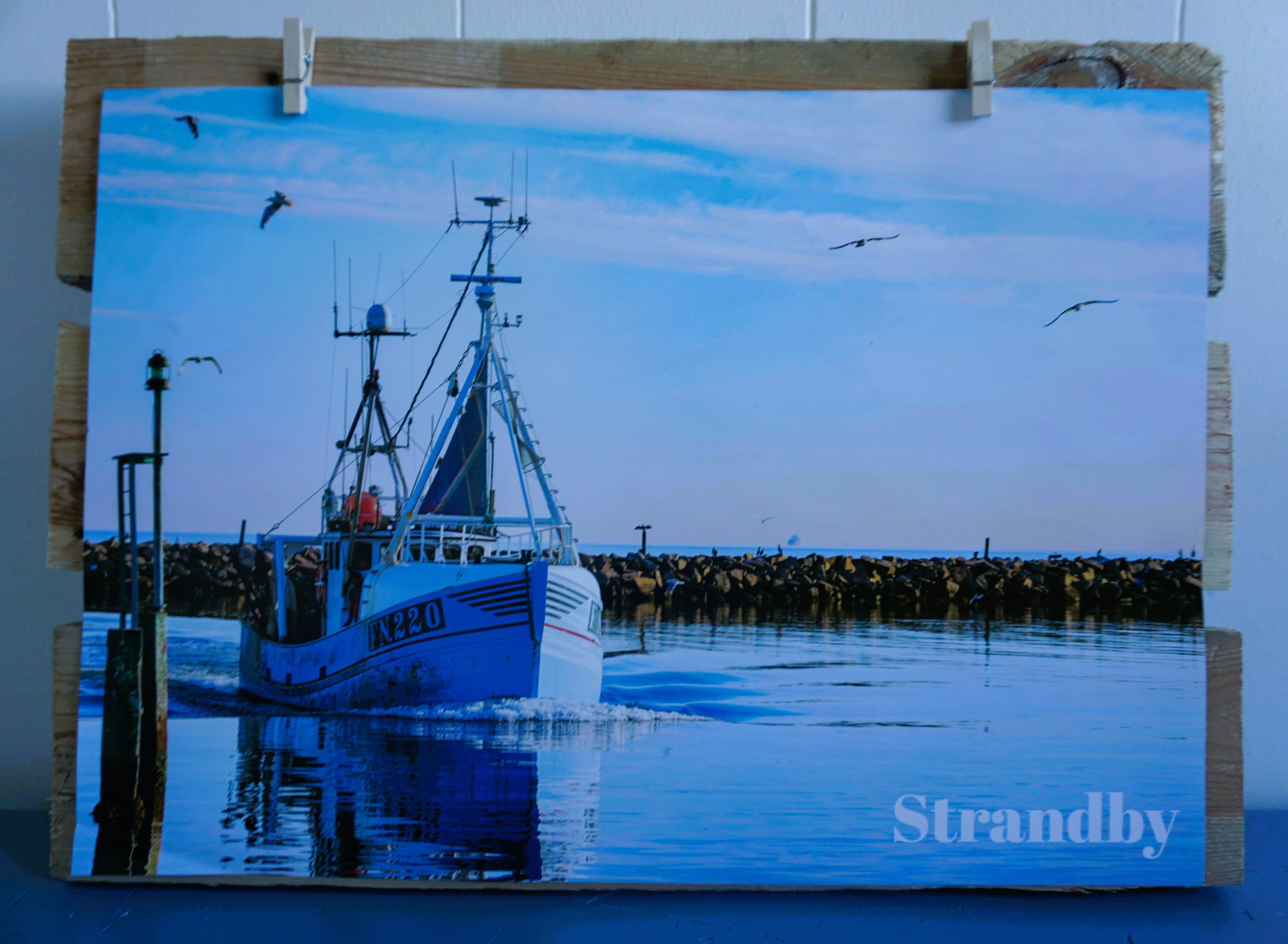 Strandby Havn - Naturplakat